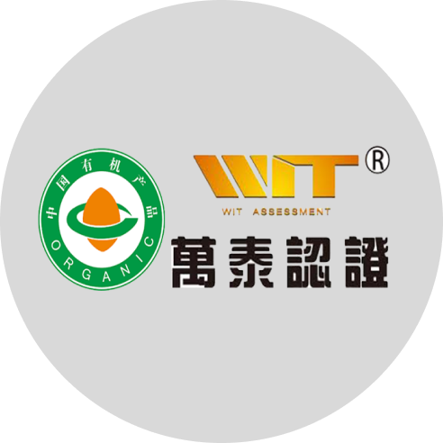 Certificación wit-int